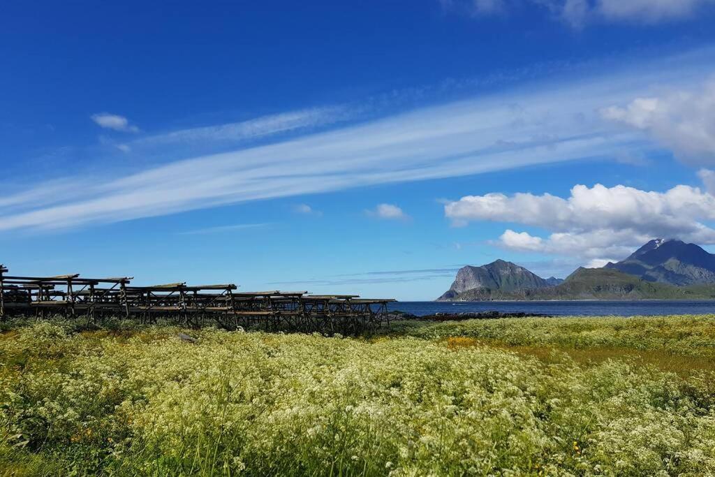 Lofoten- Enjoy The Nature-With A Beautiful Beach Napp Buitenkant foto